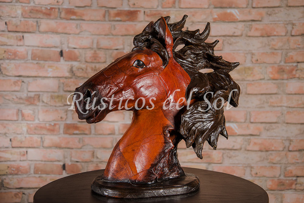 Cabeza Greñuda